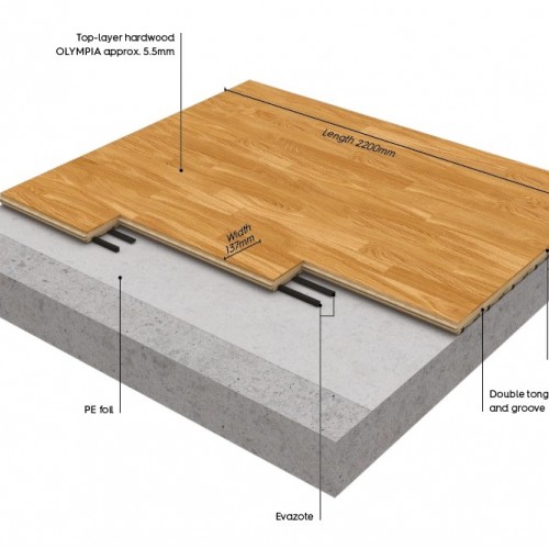 Boen Boflex Olympia Tölgy Lakkozott Sport parketta. 10036180