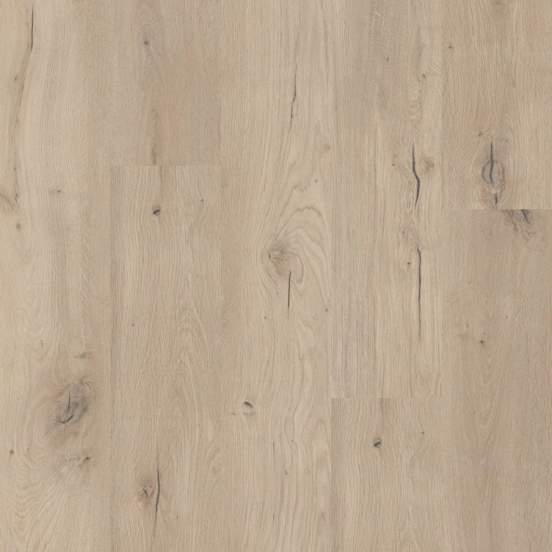 Coretec Flexile 1200 Forest, ragasztós Lvt padló. 50 FLX 806