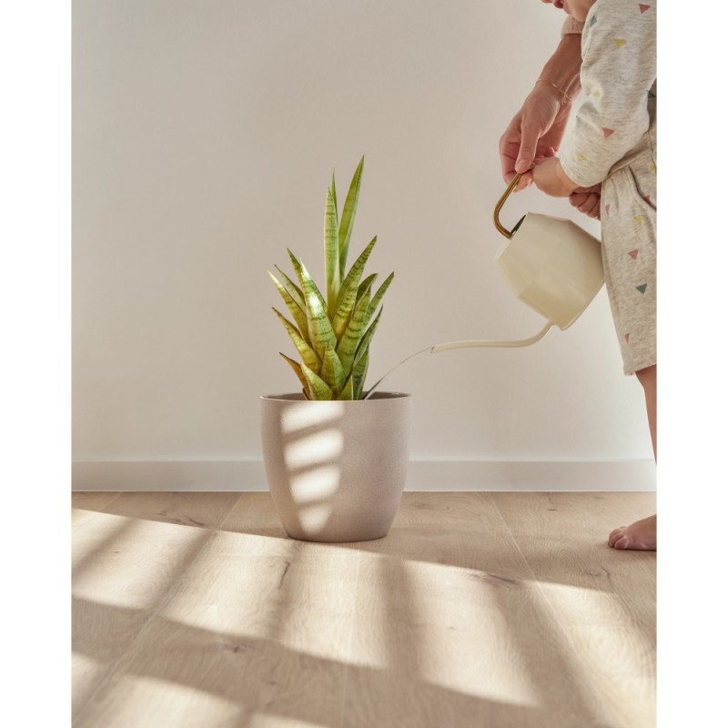 Coretec Flexile 1200 Forest, ragasztós Lvt padló. 50 FLX 806