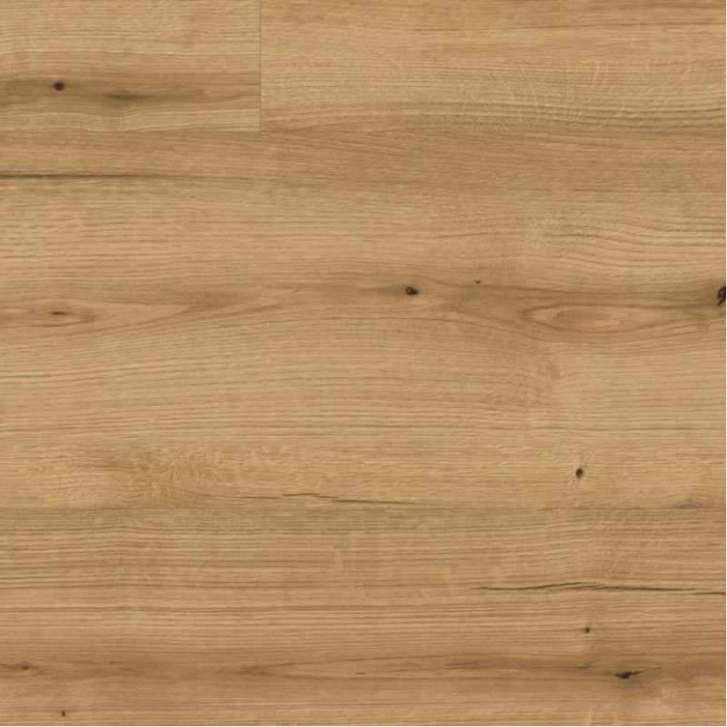 Kaindl Natural Touch 8.0 Standard Plank K5573 EVOKE COAST TÖLGY RI laminált padló
