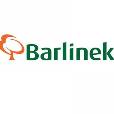 Barlinek Canella Grande Tölgy, ultra matt-lakkozott szalagparketta. 1WG001077