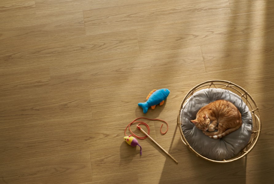 Afirmax Legnar Acoustic SORA OAK CLEA 43042 klikkes spc padló int. alátéttel