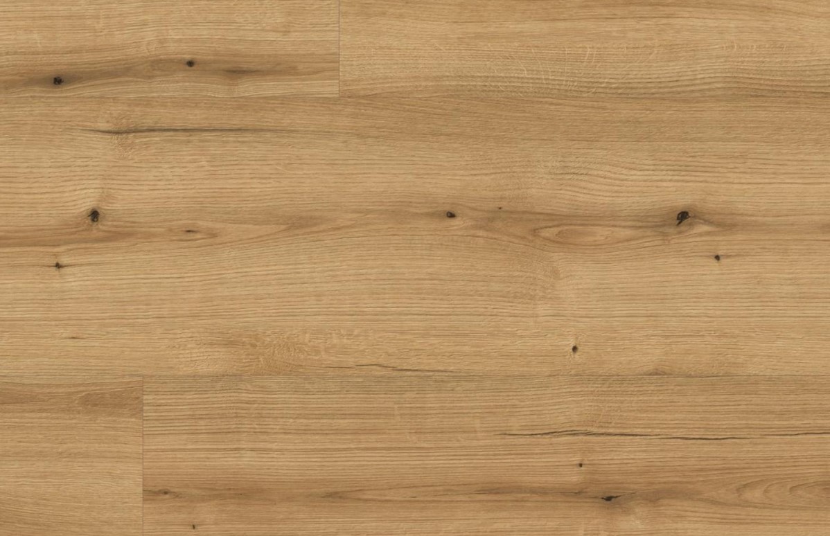 Kaindl Natural Touch 8.0 Standard Plank K5573 EVOKE COAST TÖLGY RI laminált padló